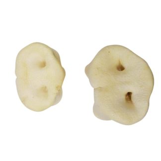 Puffed Porky Snout Treats for Dogs