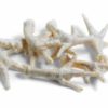 Puffed Chicken Feet Dog Treats