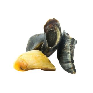 Beef Hoof Chew Dog Treat