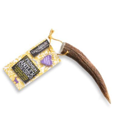 Antler - Small
