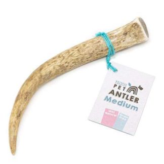 Other Dog Treats