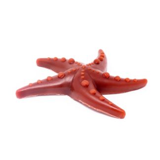 Vegetable Starfish Dog Chews
