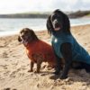 Bamboo Drying Coat for Dogs