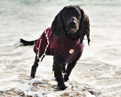 Bamboo Dog Drying Coat – Wine
