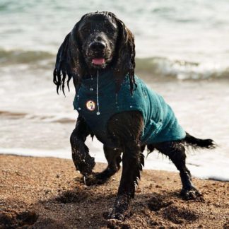 Bamboo Dog Drying Coat – Teal