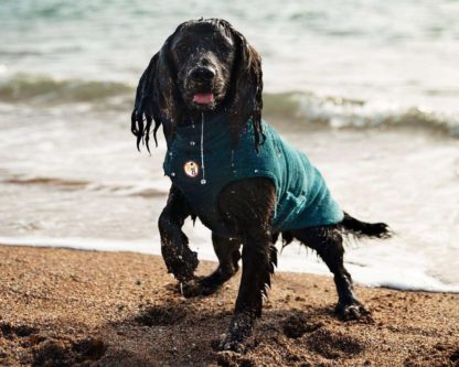 Bamboo Dog Drying Coat – Teal