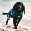 Bamboo Dog Drying Coat – Teal