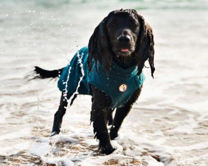 Bamboo Dog Drying Coat – Teal