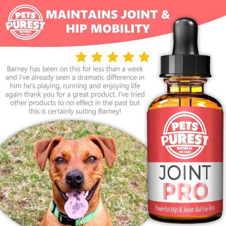 4health hip and joint cheap