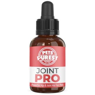 Dog Nutrition
