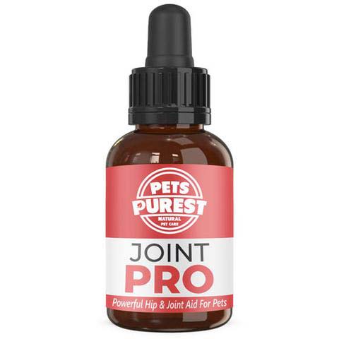 Dog Nutrition