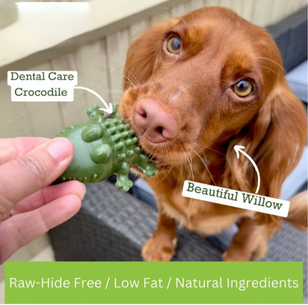 Vegan Dental chews - "Croc Bites" Pack of 2 - Image 2