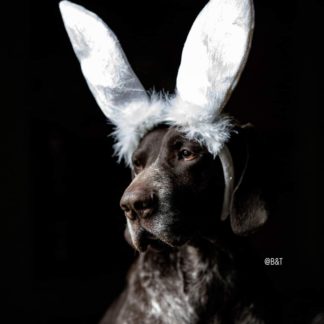 Easter