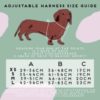 Dog Harness size Guide