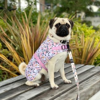 Raincoat In Party Pup Extra Small