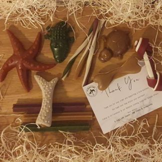 Simply Vegetarian Natural Treats Selection Box