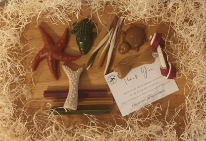 Simply Vegetarian Natural Treats Selection Box