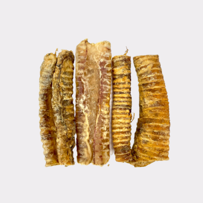 Beef Trachea - Image 2