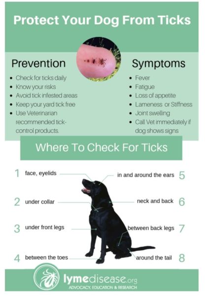 Tick Removal Tool Pack of 2 - Image 3