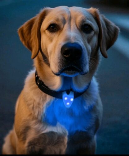 Wrap Around Night Time LED Blinker - ORANGE - Image 6