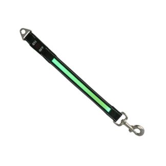 LED Dog Lead Attachment