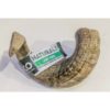 Lamb Horn