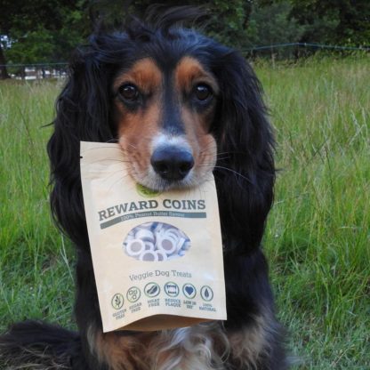 Peanut Butter Reward Coins Training Treats - Image 2
