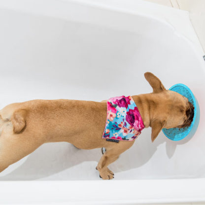 LICKIMAT Splash Bowl - Image 2