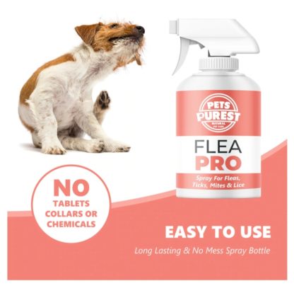 PRO Flea, Lice & Tick  Spray - Image 3