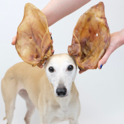 Sow Ear - Image 2
