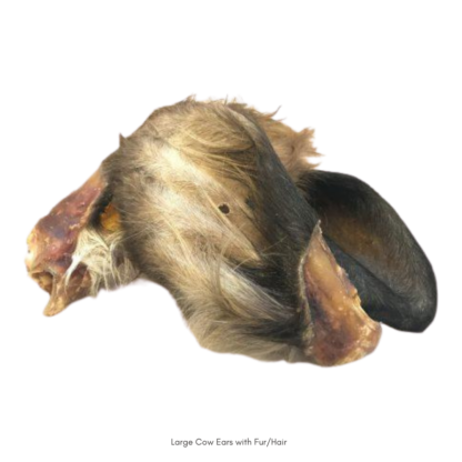 Hairy Cow Ear