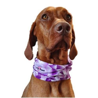 Dog Bandana Purple Geo - Image 2