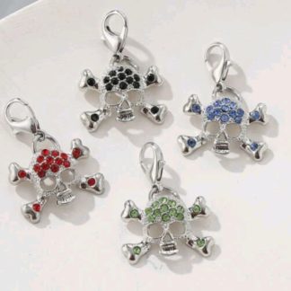 Halloween Skull Pet Charm