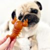 Carrot & Pumpkin Lobster - Pack of 2 - Image 4