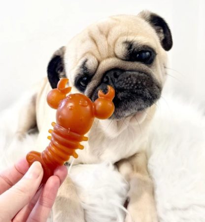 Carrot & Pumpkin Lobster - Pack of 2 - Image 4