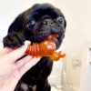 Carrot & Pumpkin Lobster - Pack of 2 - Image 5