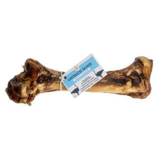 Large Ostrich Bone