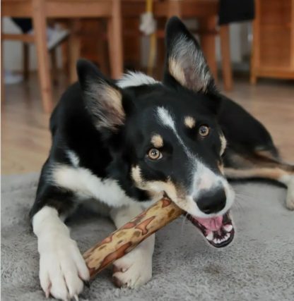 Olivewood Chew - Small - Image 2