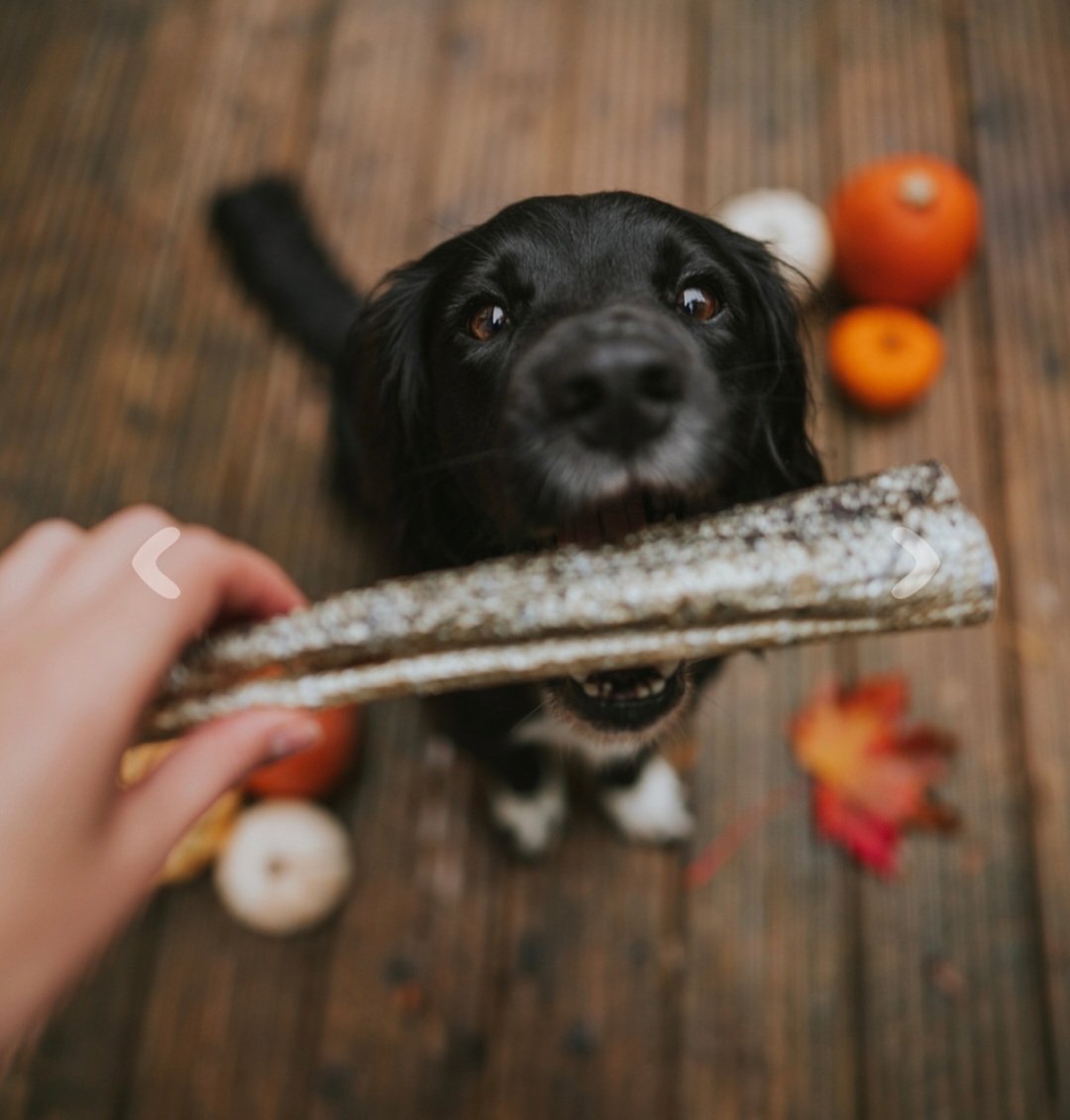 Salmon Skin Roll A Dog's Life