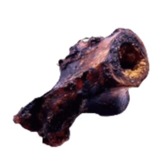 Ostrich Knuckle Large