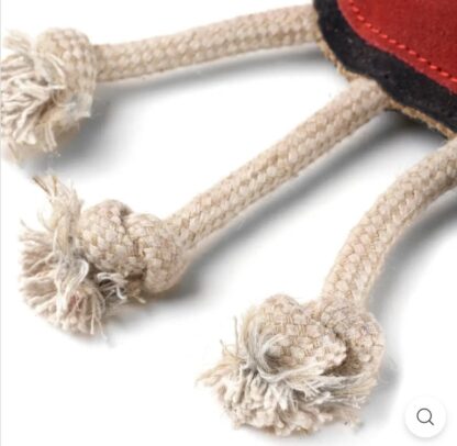 Spike the Spider Eco Toy - Image 3