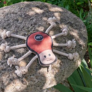 Spike the Spider Eco Toy