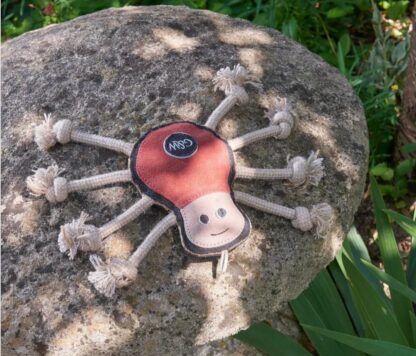 Spike the Spider Eco Toy