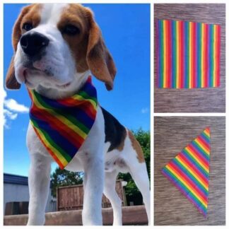 Rainbow 100% Cotton Bandana