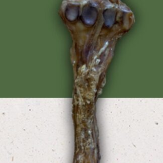 Beef Tendon with Bone