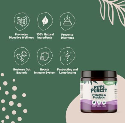 Natural Pre & Probiotic Powder 100g (Previously Known as Digestion Pro) - Image 4