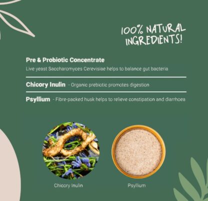 Natural Pre & Probiotic Powder 100g (Previously Known as Digestion Pro) - Image 5