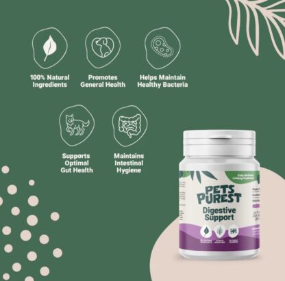 Natural Digestive Support Powder 100g - Image 4