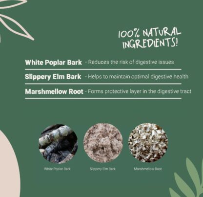 Natural Digestive Support Powder 100g - Image 3