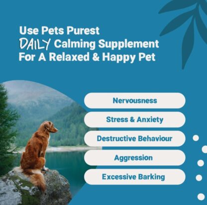 Daily Calming Supplement 300ml - Image 3